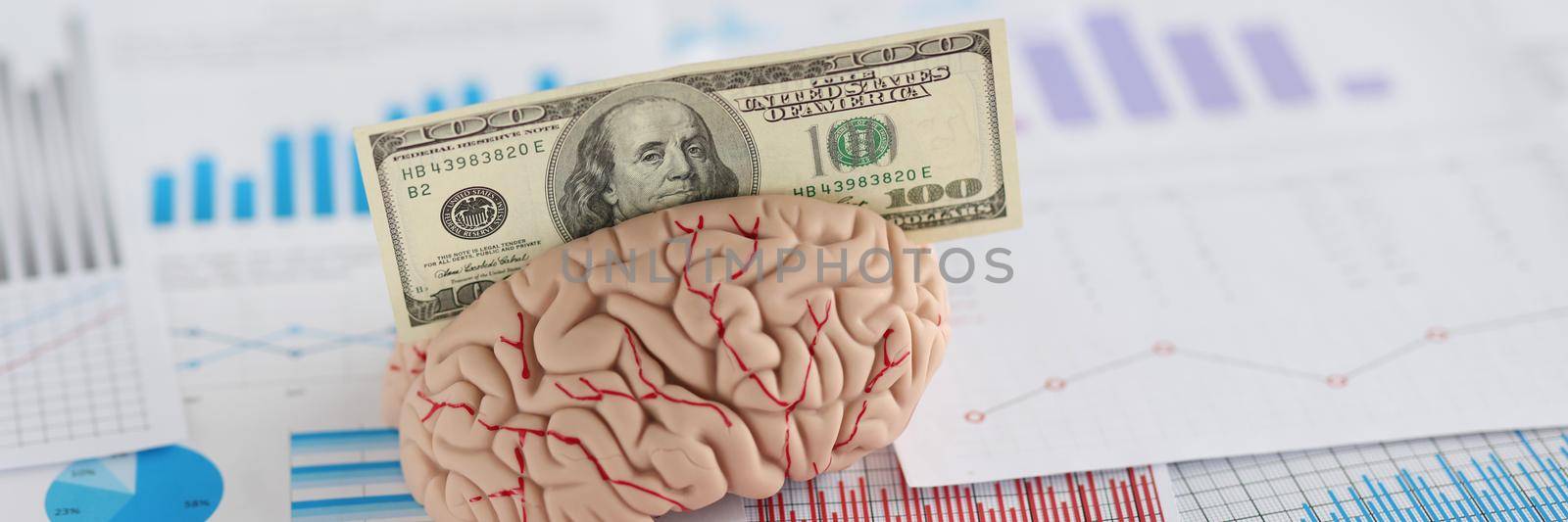 Banknote fit in anatomical model of human brain, miniature put on business papers by kuprevich