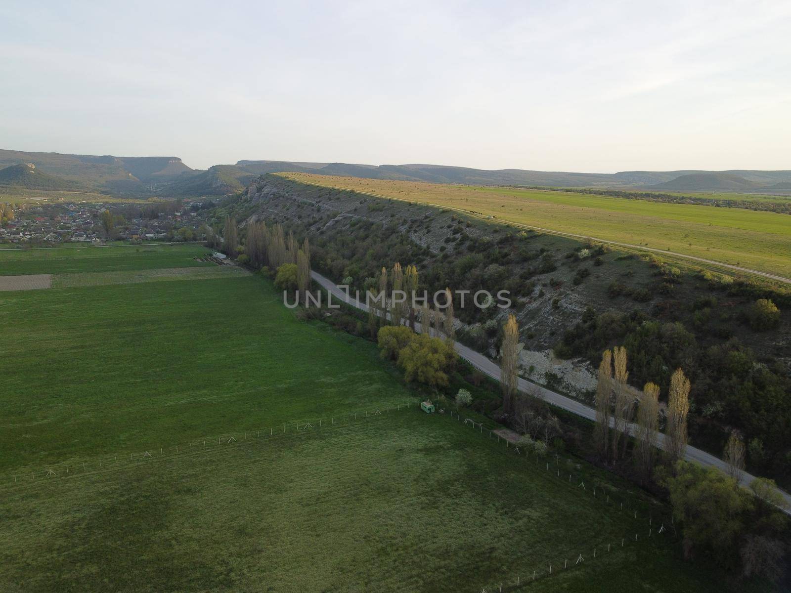 Flying over a small herd of cattle cows walking uniformly down farm road on the hill. Black, brown and spotted cows. Top down aerial view of the countryside on a sping sunset. Idyllic rural landscape