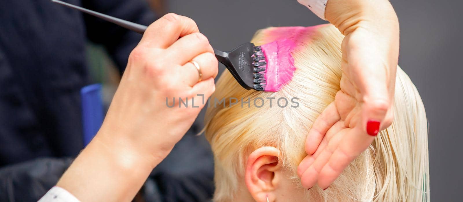 Applying pink dye with the brush on the white hair of a young blonde woman in a hairdresser salon. by okskukuruza