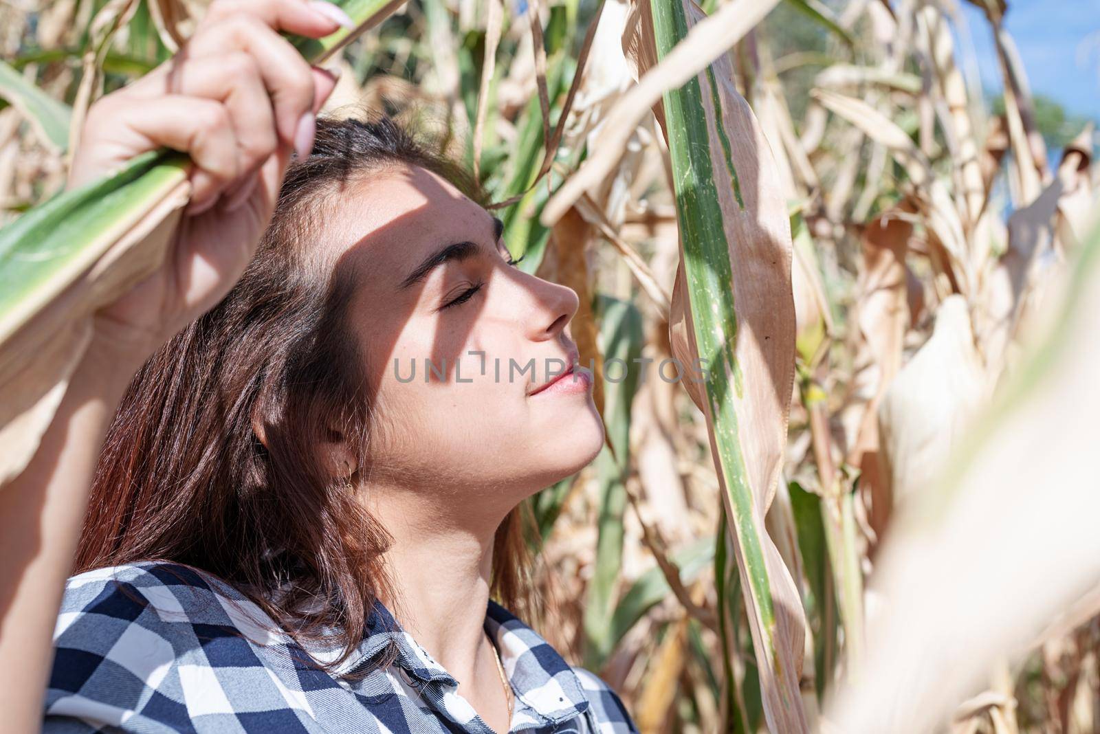 agriculture and cultivation concept. Countryside. Cheerful caucasian woman in the corn crop, shadow overlay on face