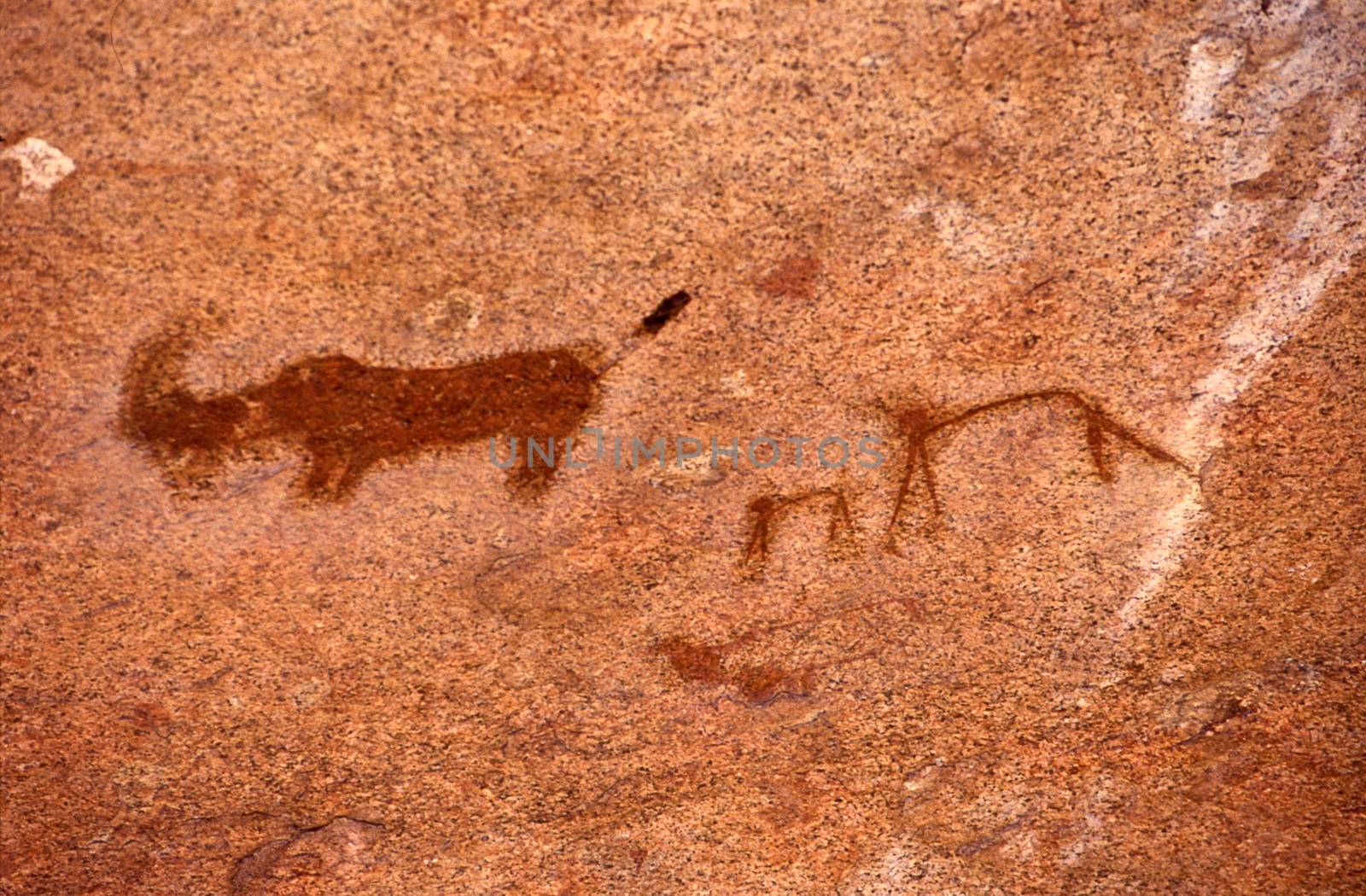 Rock Paintings Spitzkoppe Namibia africa