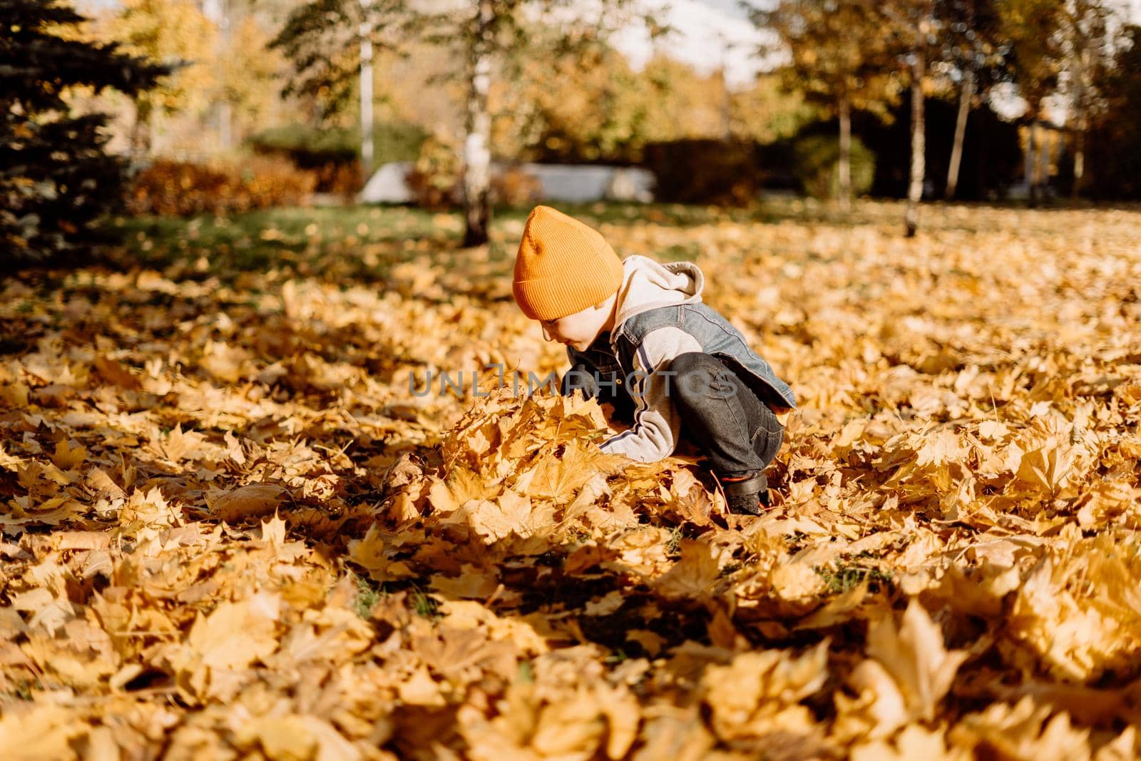 Kid having fun in autumn park with fallen leaves, throwing up leaf. Child boy outdoors playing with maple leaves