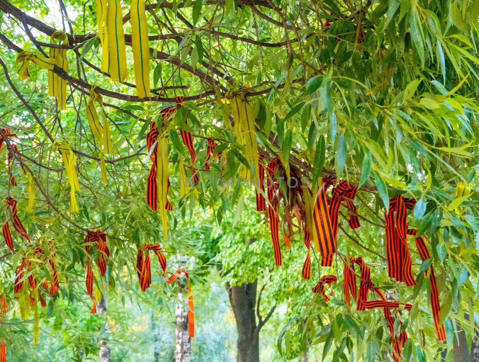 Wish tree with commemorative war ribbons by kajasja