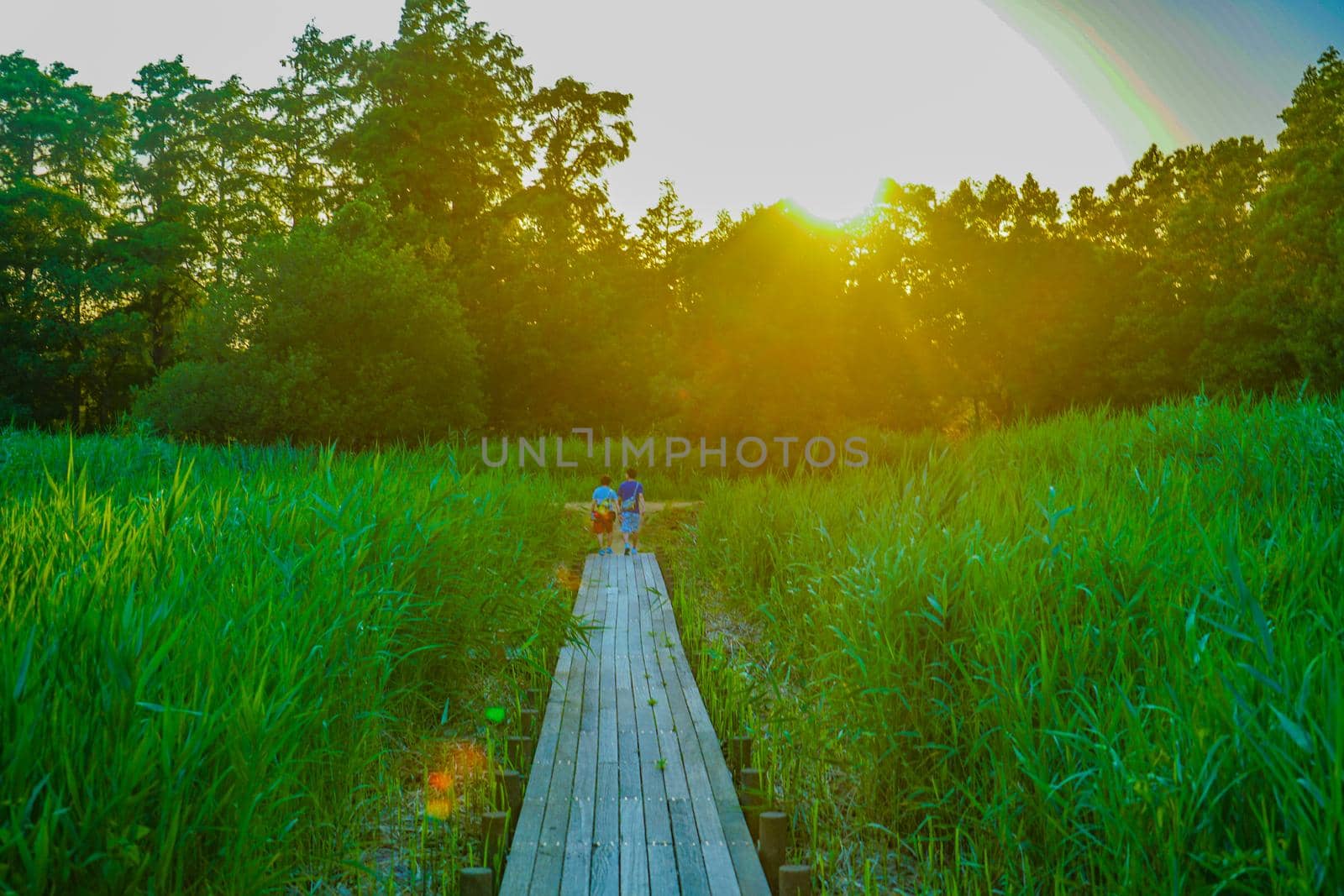Sunset view of water park and dusk. Shooting Location: Katsushika-ku, Tokyo