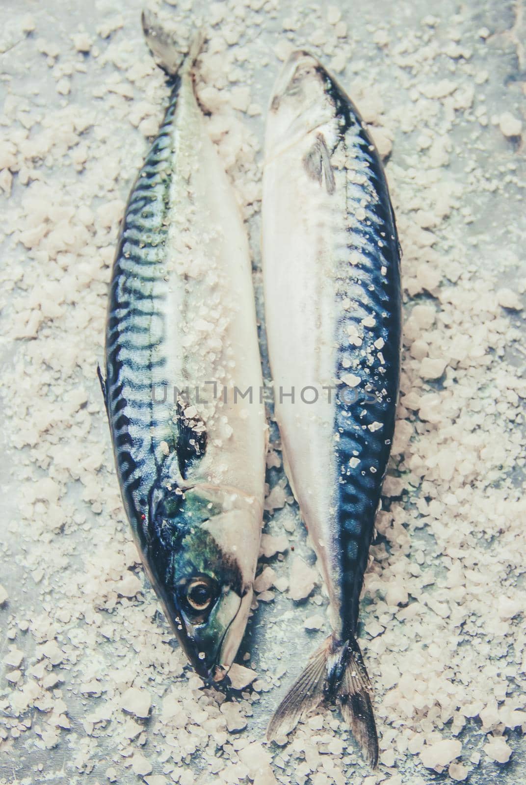 raw fish of mackerel. Selective focus. Food and drink. by yanadjana