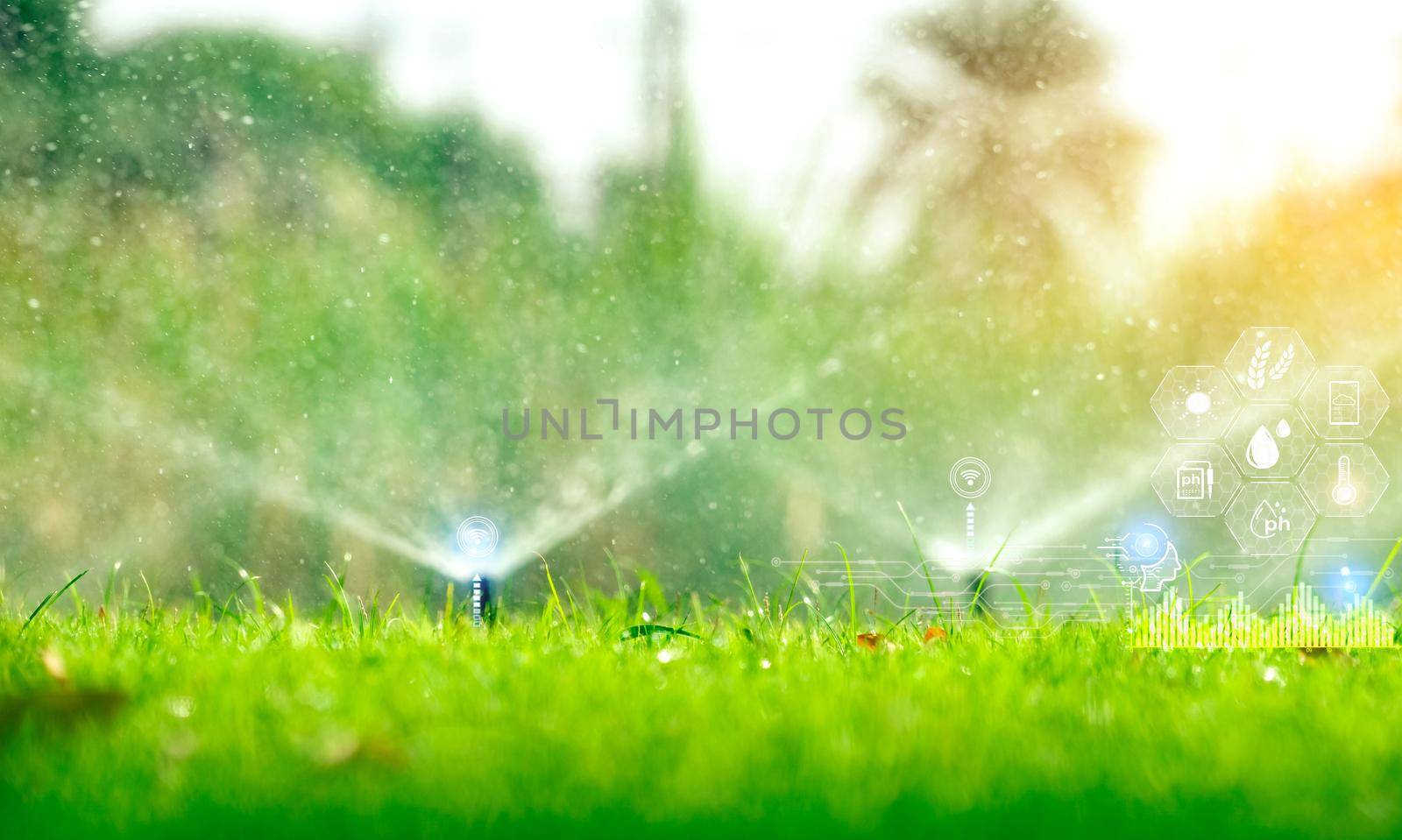 Automatic lawn sprinkler watering green grass and icon of smart farming concept. Smart agriculture with modern technology concept. Sustainable agriculture. Precision agriculture. Climate monitoring. by Fahroni