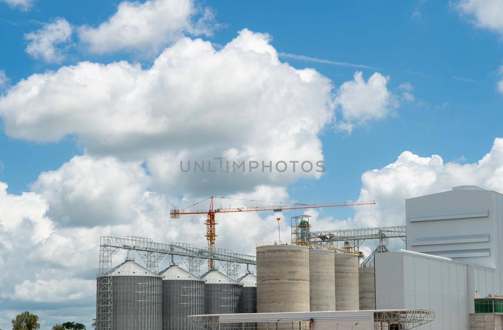 Animal feed factory construction site. Agricultural silo at feed mill factory. Tank for store grain and construction crane. Seed stock tower for commercial animal feed production. Animal food industry