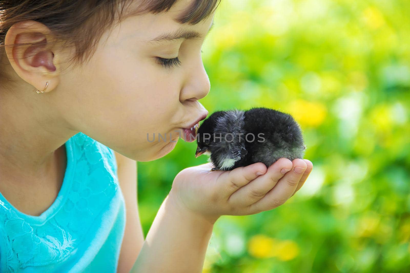 The child holds a chicken in his hands. Selective focus. nature.