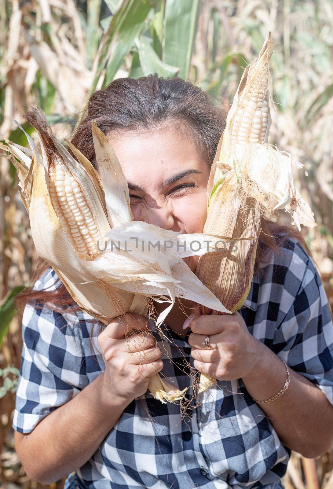 agriculture and cultivation concept. Countryside.portrait of funny female woman in corn crop holding cobs making funny faces