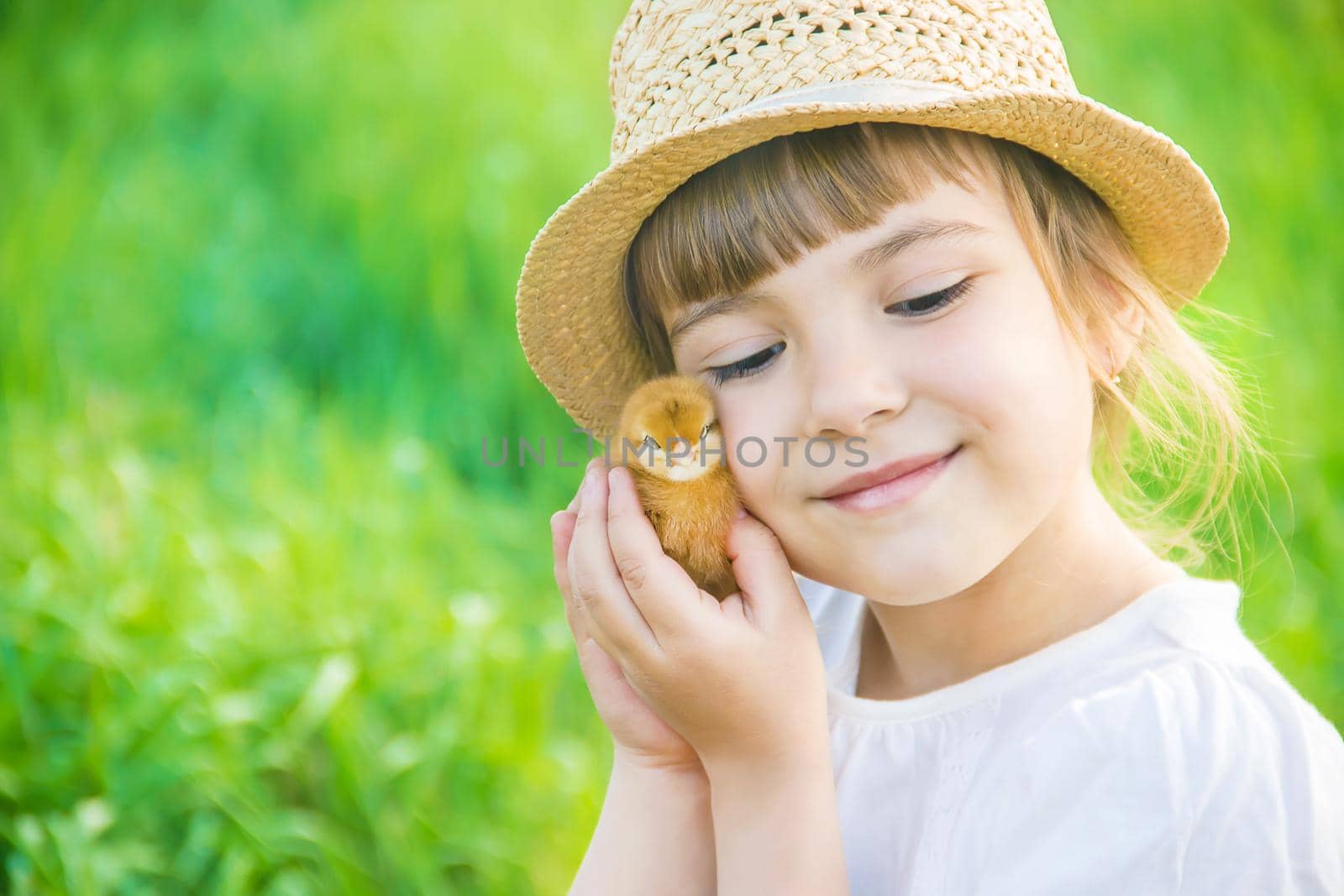 The child holds a chicken in his hands. Selective focus. nature.