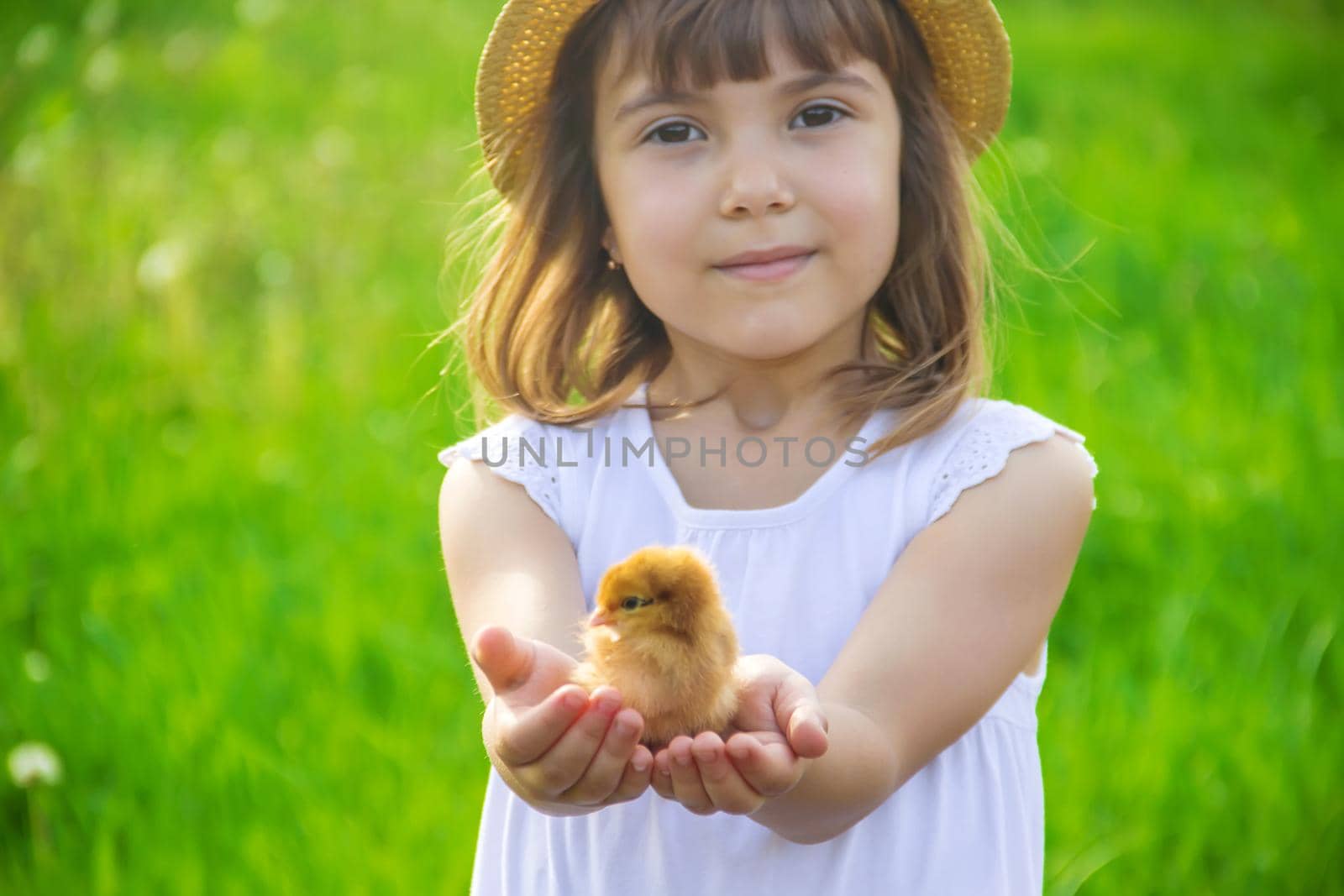 The child holds a chicken in his hands. Selective focus. by yanadjana