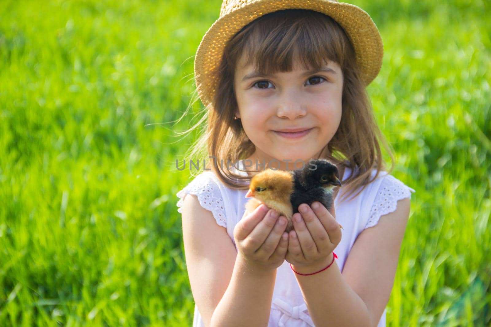 The child holds a chicken in his hands. Selective focus.