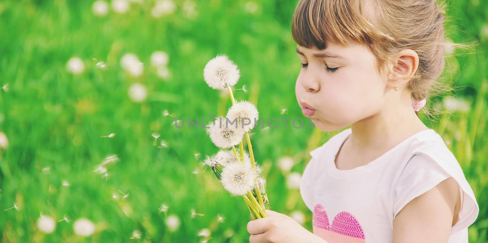 girl blowing dandelions in the air. selective focus.