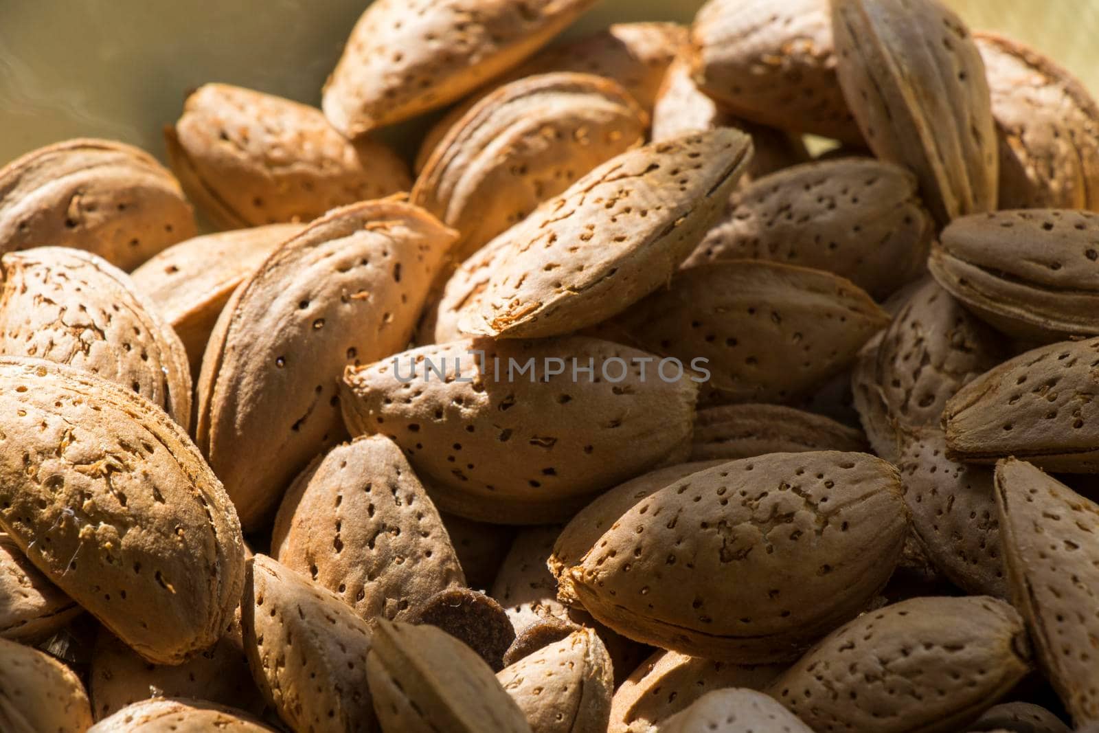Almond close-up, almond with shell by Taidundua
