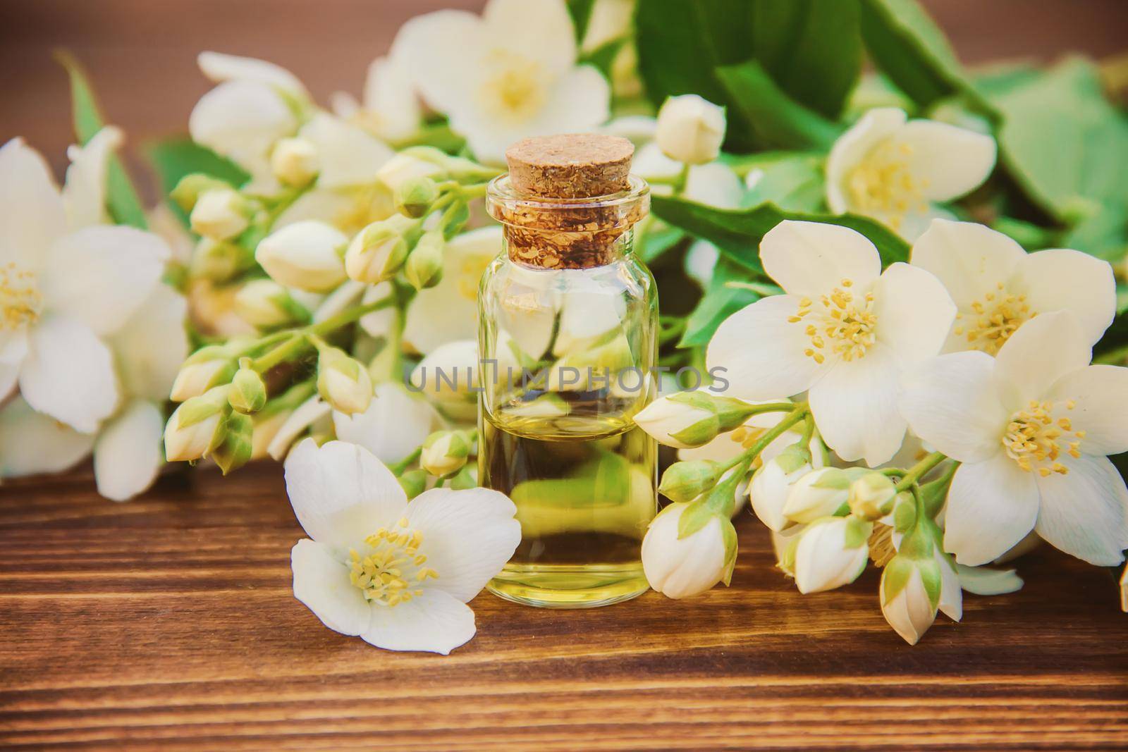 Jasmine essential oil. selective focus. madicine and nature. by yanadjana