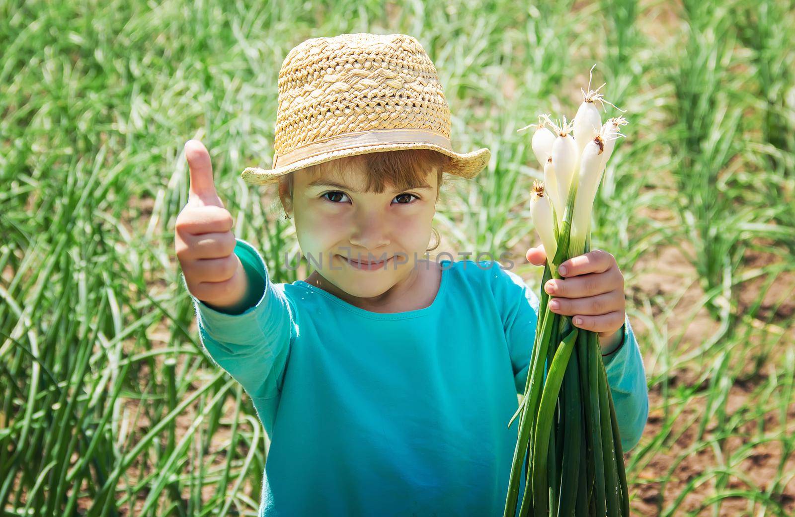 child is holding a young green bow. selective focus.