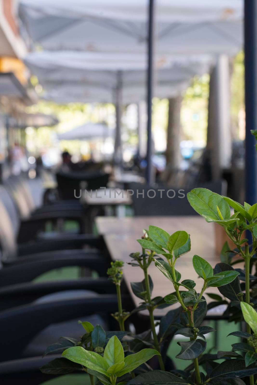 abstract blur image of charming empty street restaurant or bar in Madrid city waiting for people. Bokeh background.