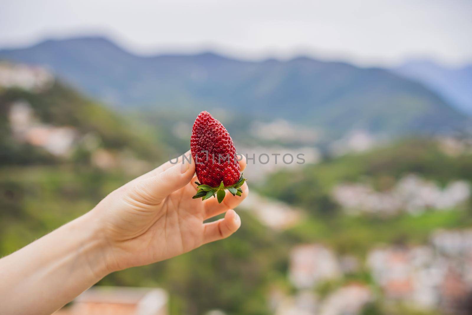 Young attractive woman eating a strawberry, outdoors.