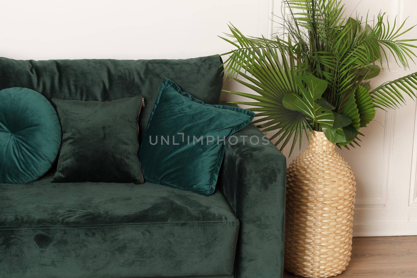 Luxurious green sofa with a plant in the interior by lara29