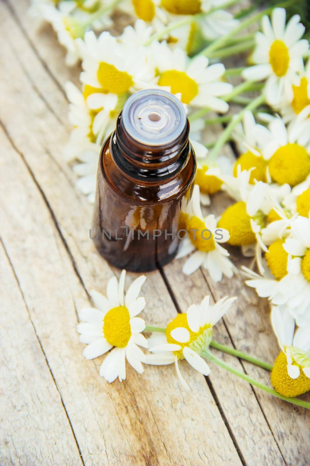 Chamomile extract in a small bottle. Selective focus nature.