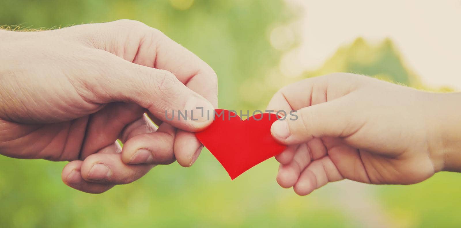 child and father have a heart in their hands. Selective focus. by yanadjana