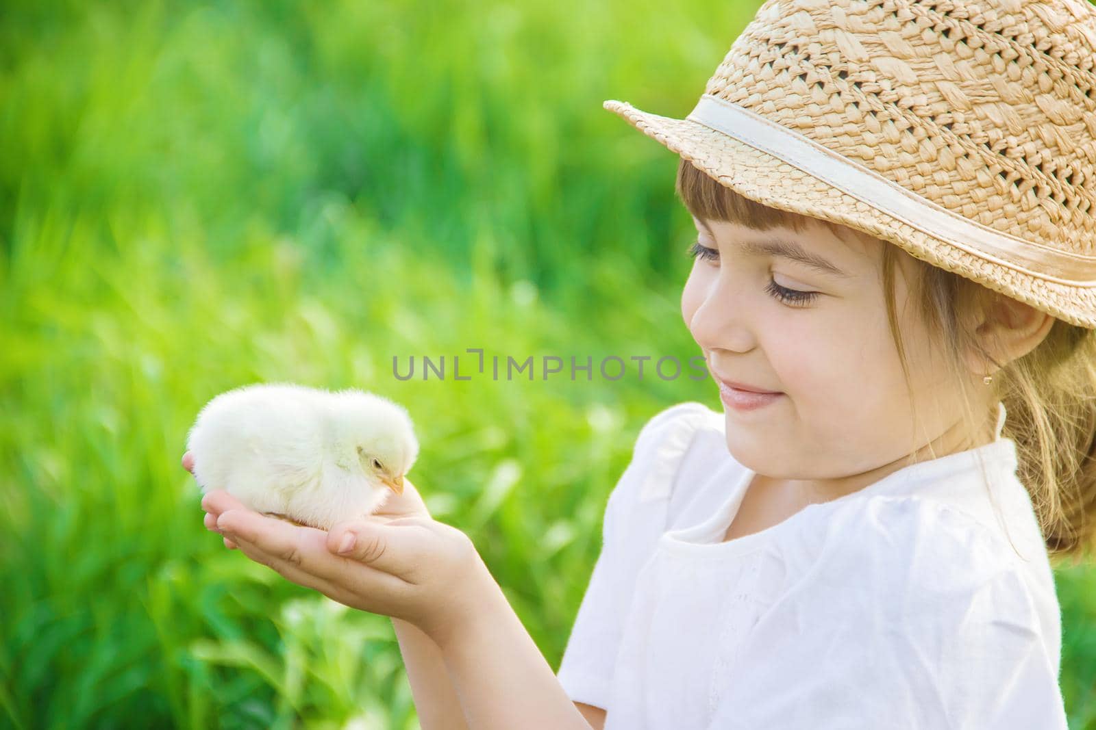 The child holds a chicken in his hands. Selective focus. nature.