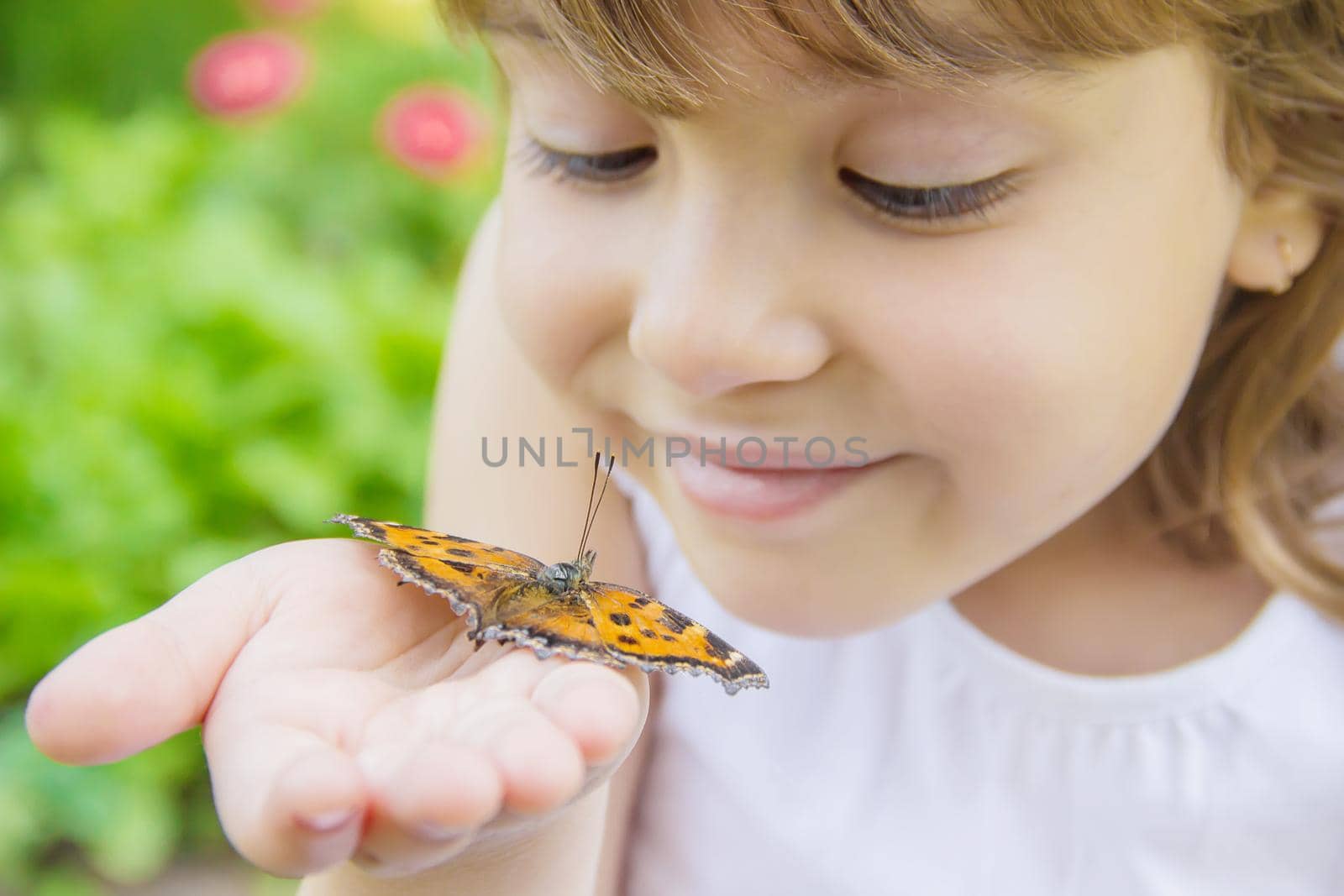 Child with a butterfly. Idea leuconoe. Selective focus. by yanadjana