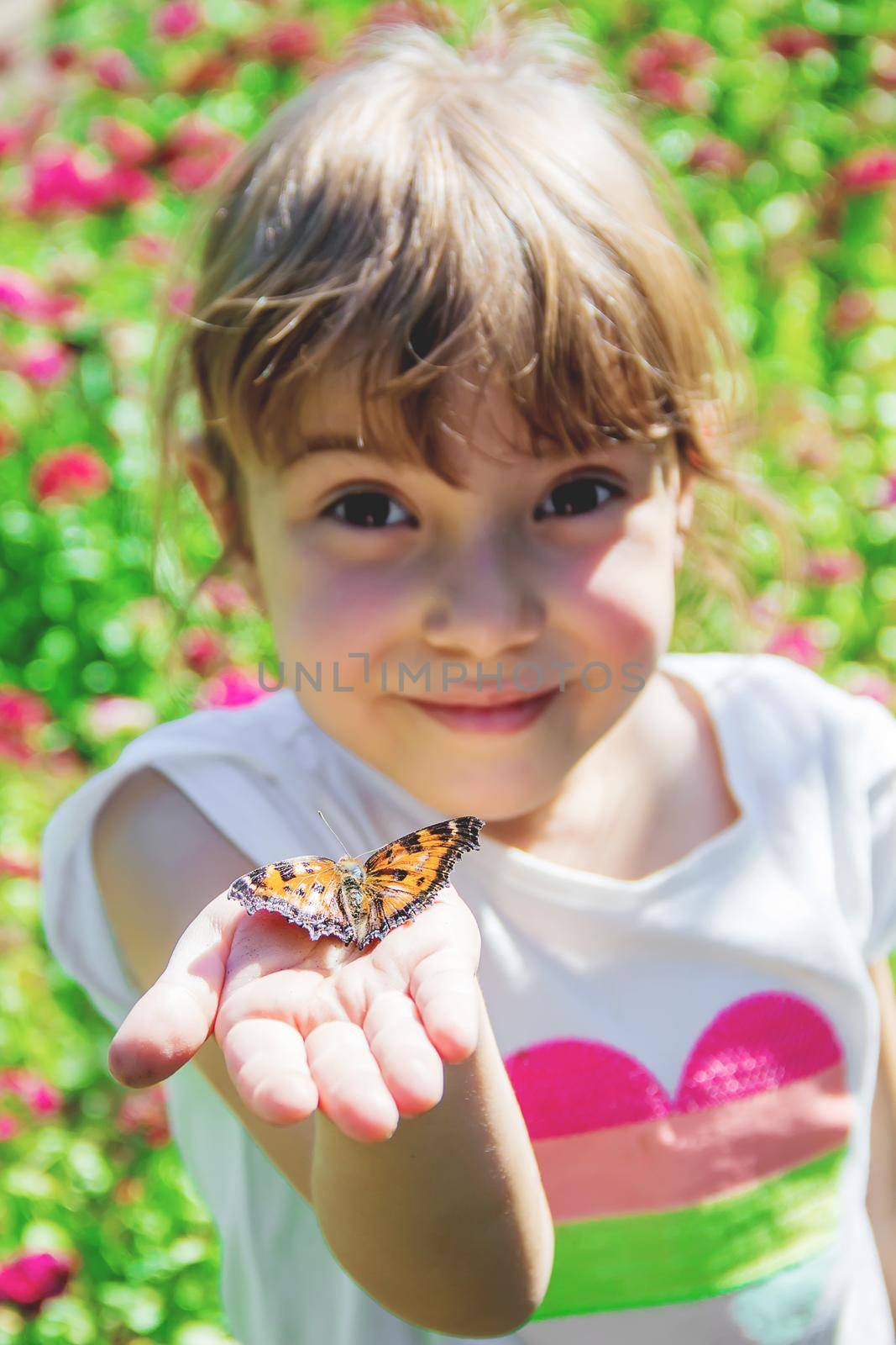 Child with a butterfly. Idea leuconoe. Selective focus.