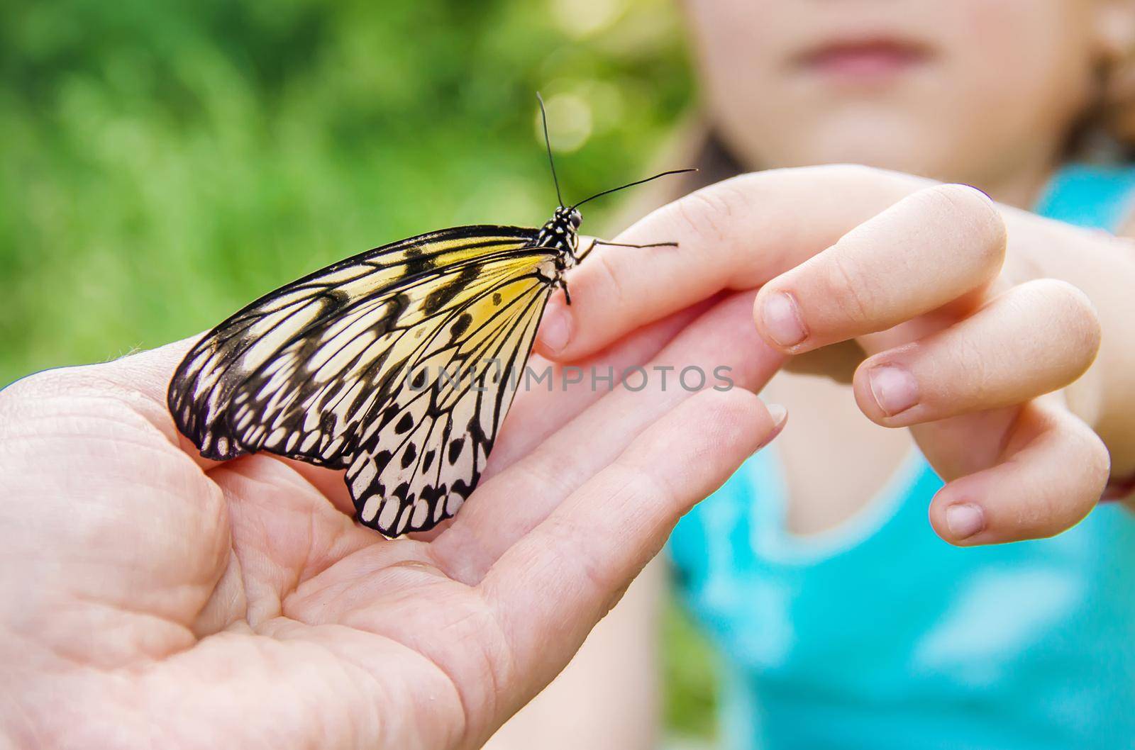 Child with a butterfly. Idea leuconoe. Selective focus.
