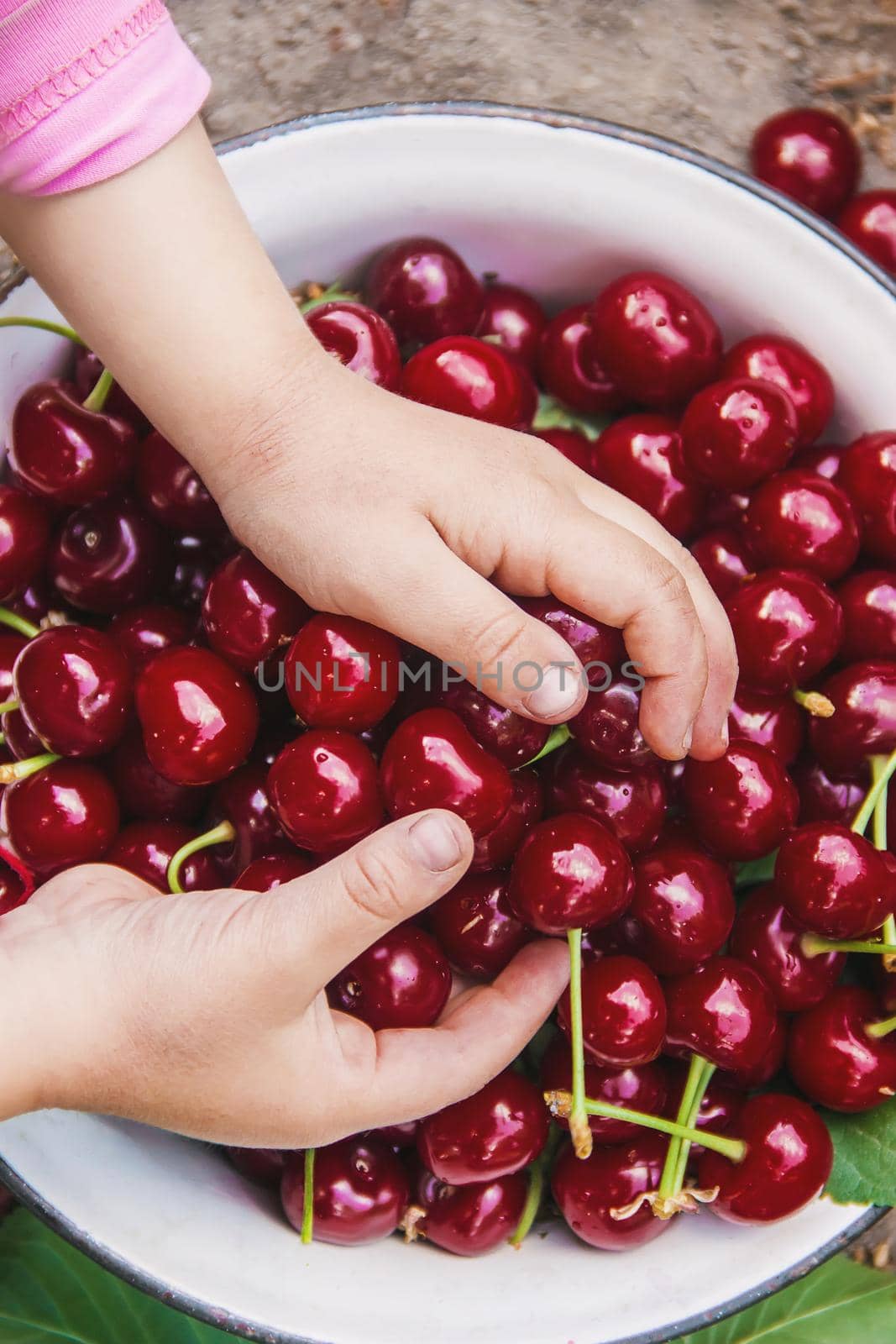The child is picking cherries in the garden. Selective focus. food.