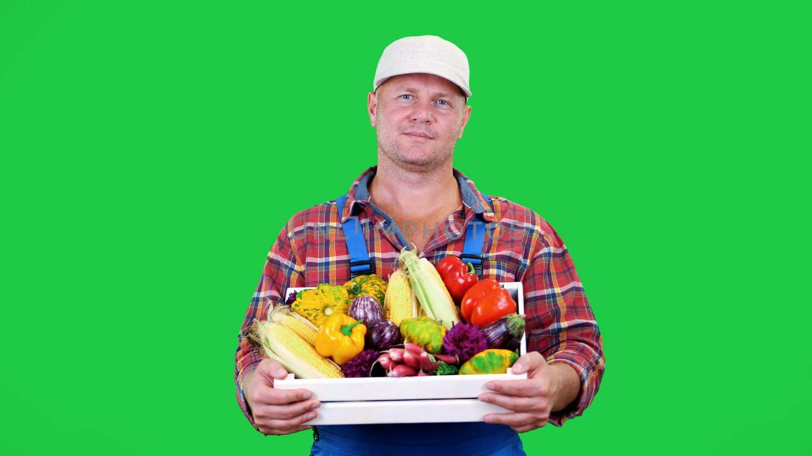smiling male farmer in plaid shirt and hat holds a box with different fresh vegetables, on Chromakey, green background. concept of crop counting, harvest of vegetables. High quality photo
