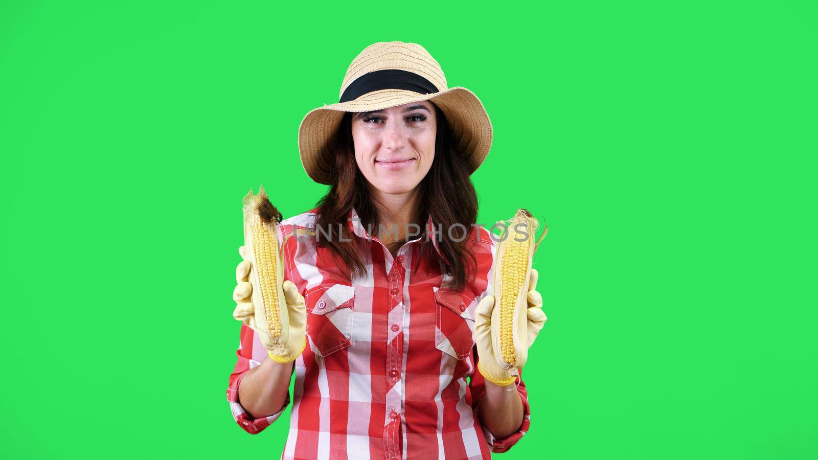 portrait of smiling female farmer in checkered shirt and hat, holding corn cobs in hands , on green background in studio. sexual association with the corncobs, food. High quality photo