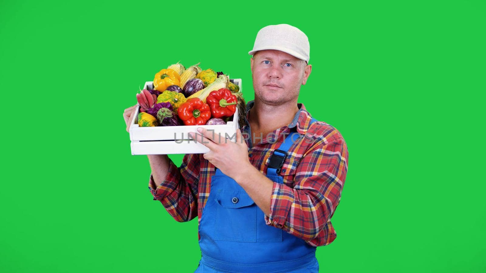 smiling male farmer in plaid shirt and hat holds a box with different fresh vegetables, on Chromakey, green background. concept of crop counting, harvest of vegetables. High quality photo