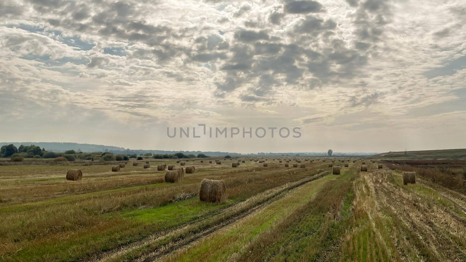 hay-roll on meadow against sunset background