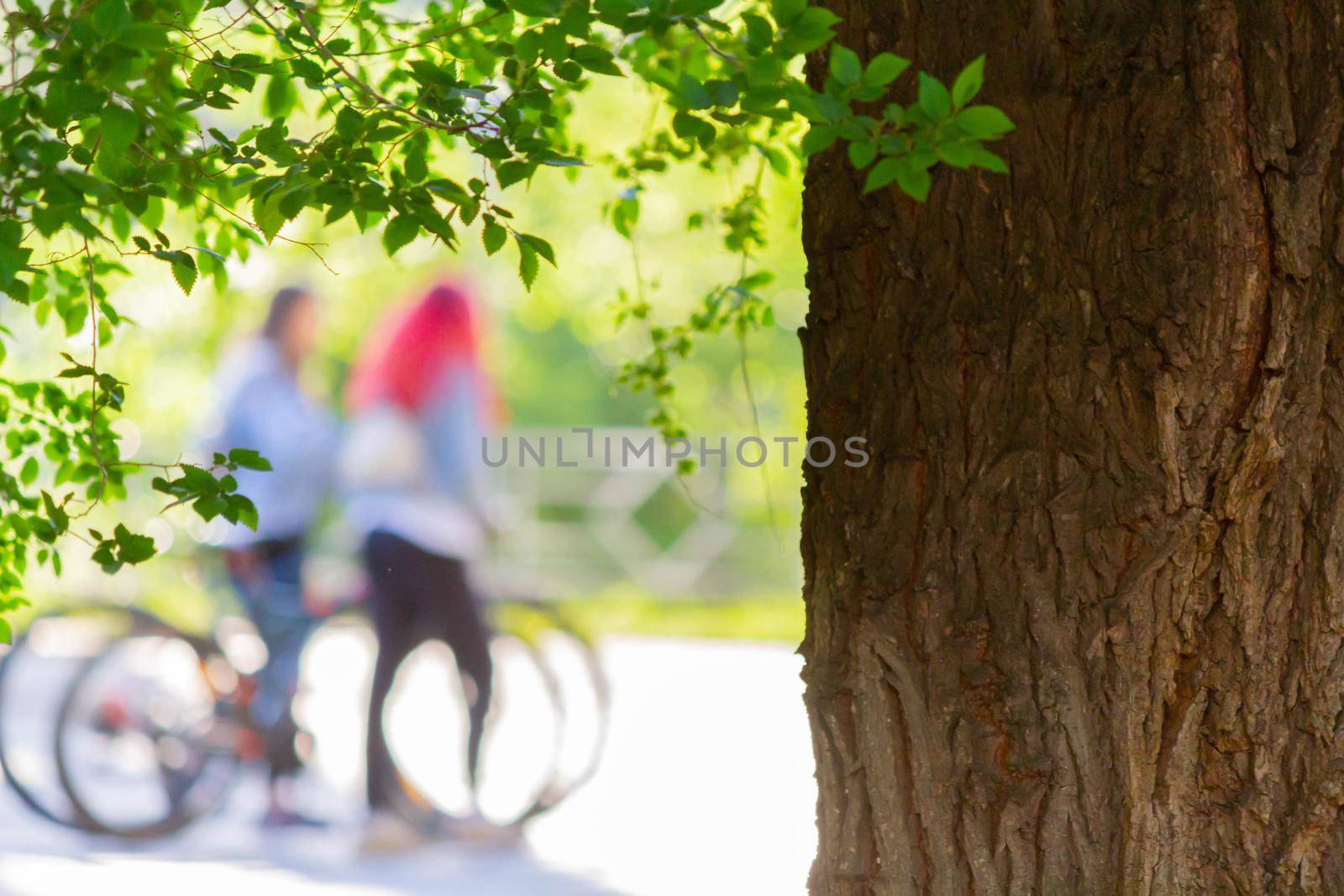 Girl on bike. Walking in park on bicycle. Sports activities on bicycles. Outdoor sports.