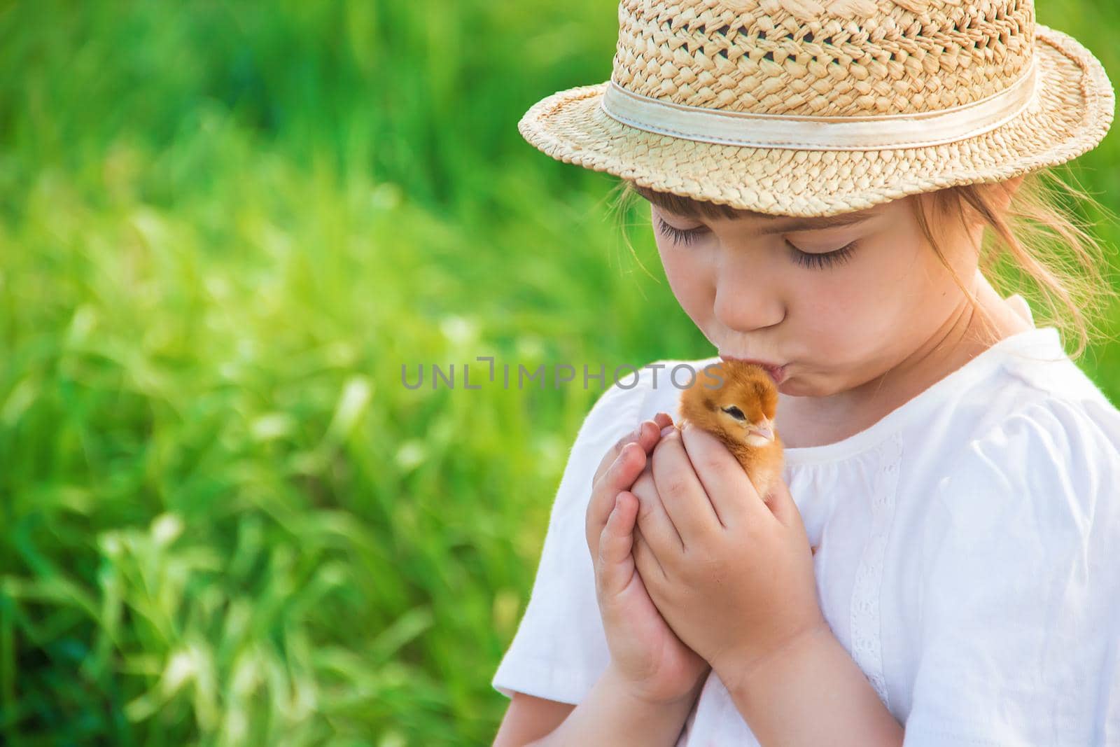 The child holds a chicken in his hands. Selective focus.