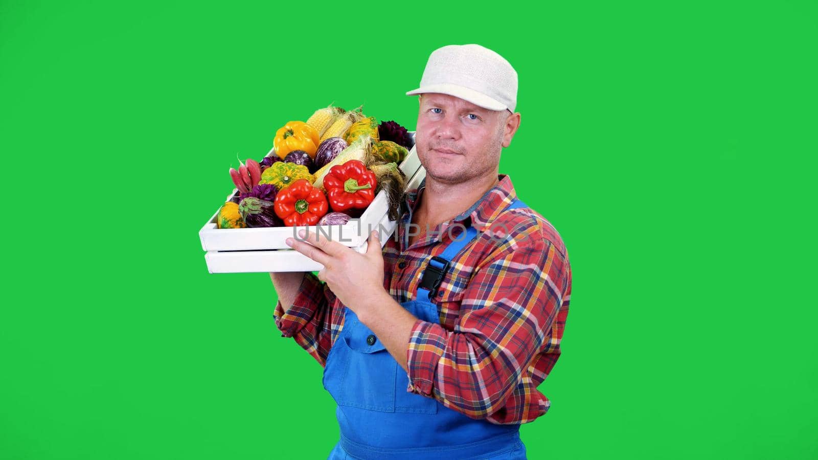 smiling male farmer in plaid shirt and hat holds a box with different fresh vegetables, on Chromakey, green background. concept of crop counting, harvest of vegetables. High quality photo