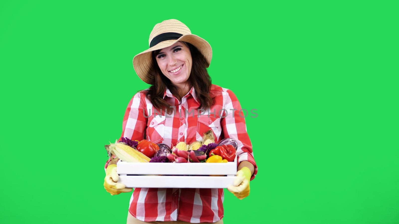 smiling female farmer in plaid shirt, gloves and hat wipes the sweat, holds a box with different fresh vegetables, harvest. green background, studio, Healthy food to your table. High quality photo