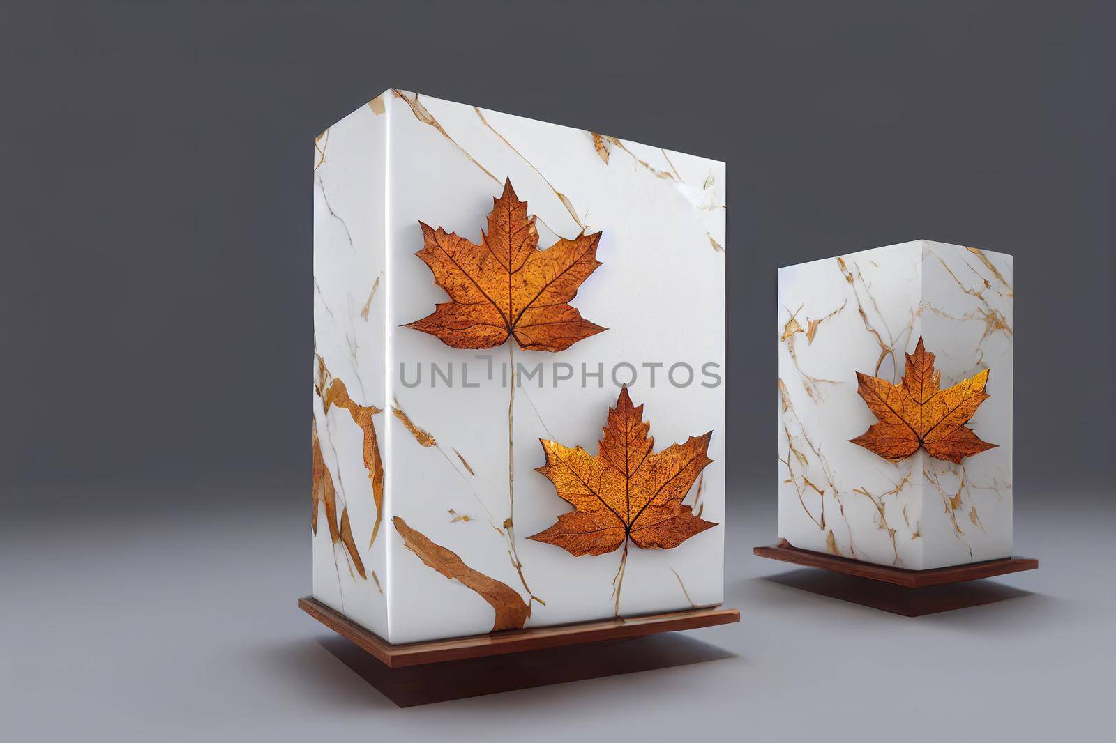 luxury marble box, block, cylinder podium with maple leaves by 2ragon