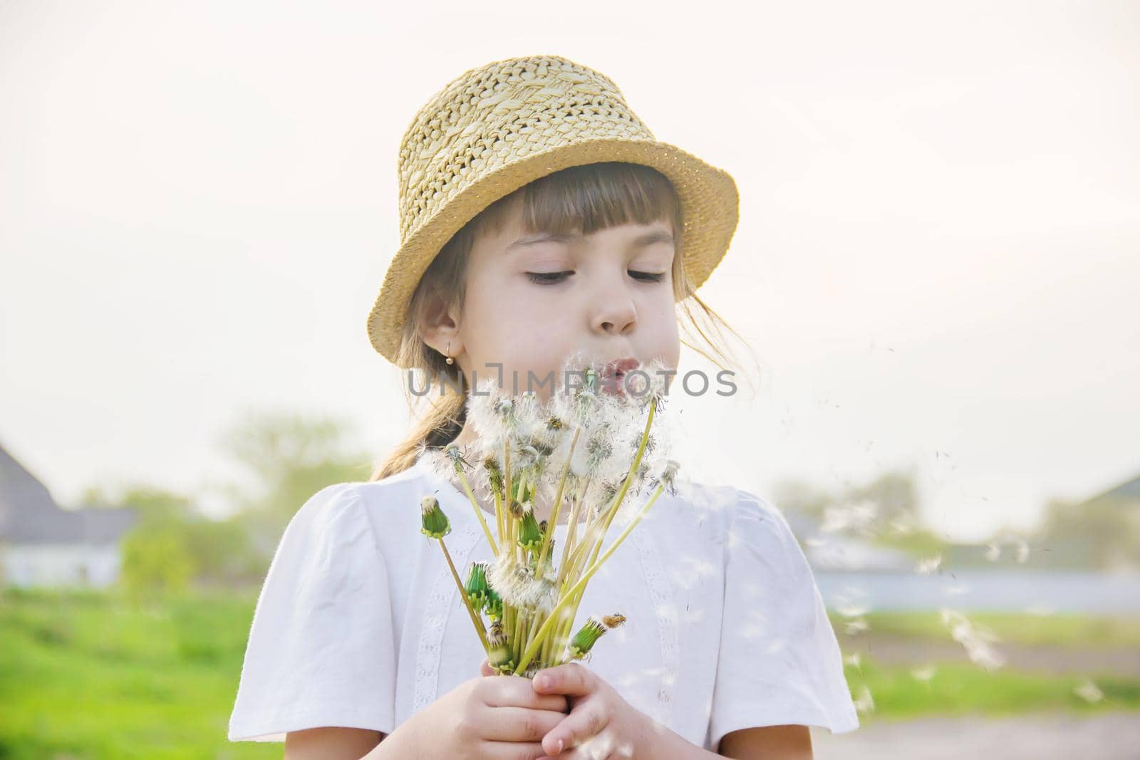 girl blowing dandelions in the air. selective focus. nature.