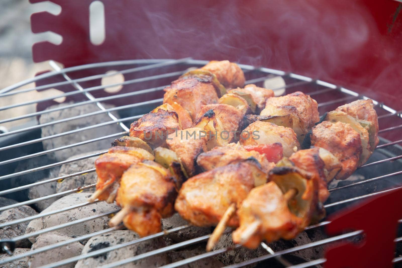 summer picnic with barbecue marinated chicken skewers with grilled vegetables on the terrace, colorful food. High quality photo