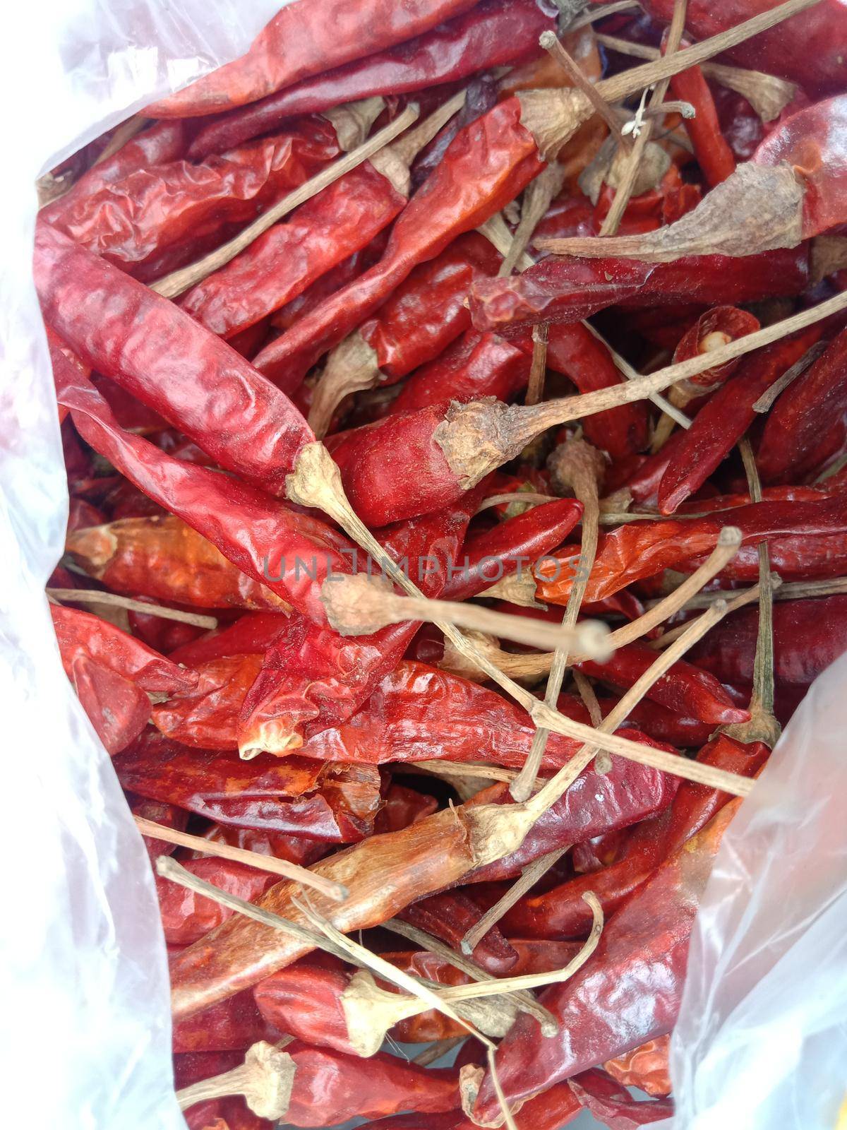 hot red dry chili peppers stock by jahidul2358