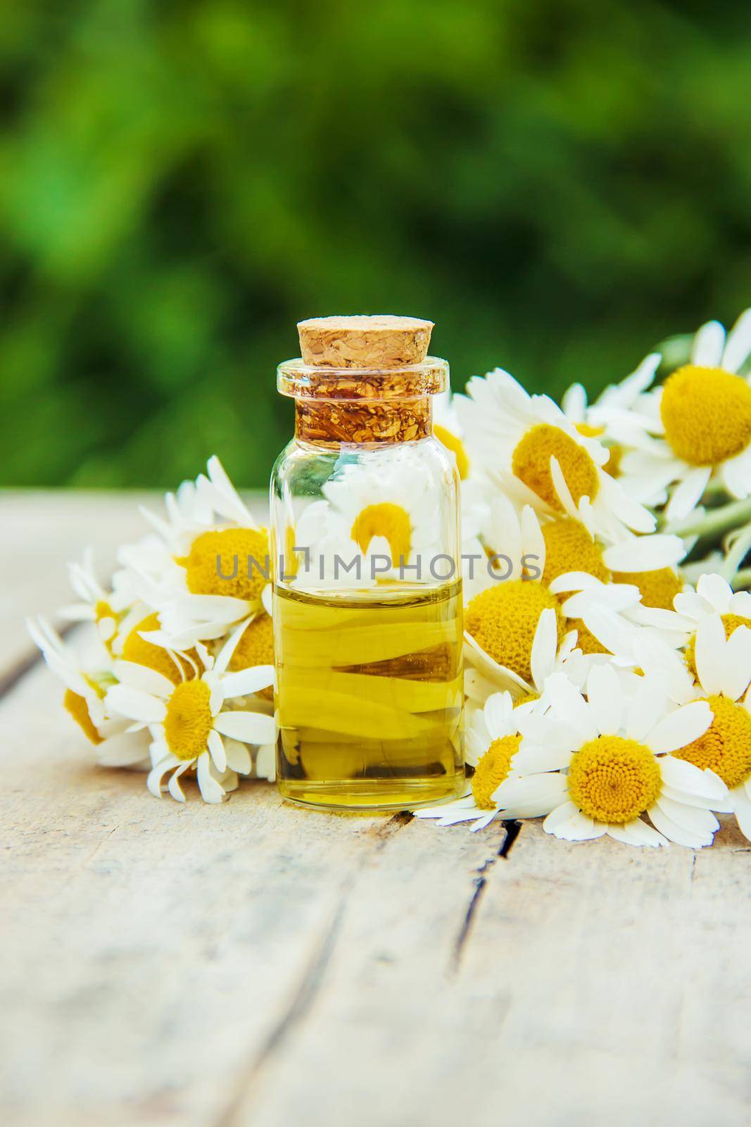 Chamomile extract in a small bottle. Selective focus.