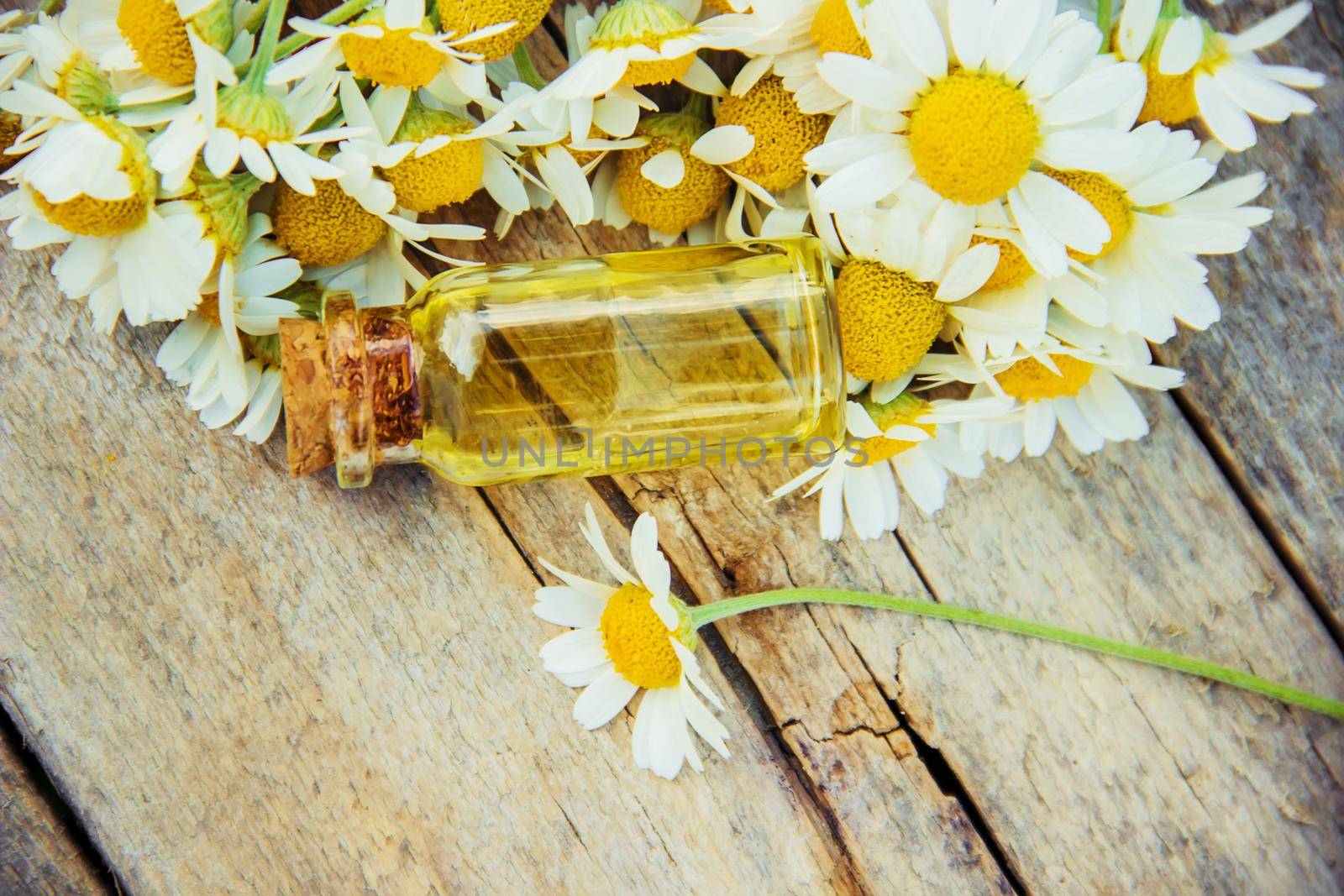 Chamomile extract in a small bottle. Selective focus.