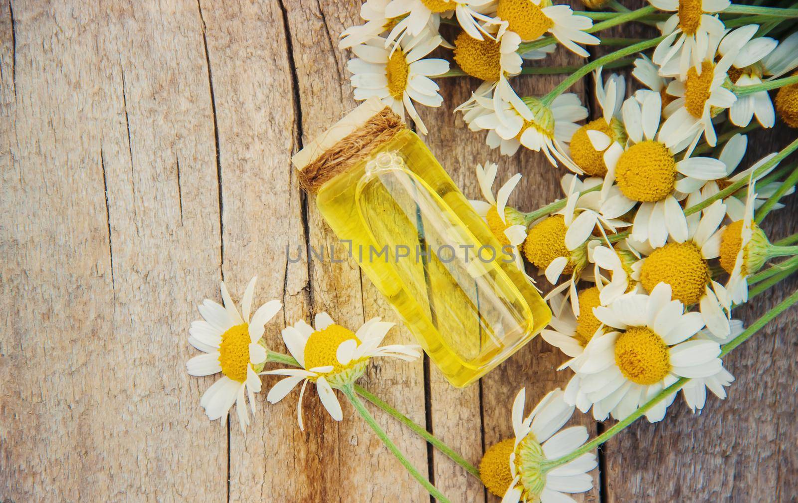 Chamomile extract in a small bottle. Selective focus.