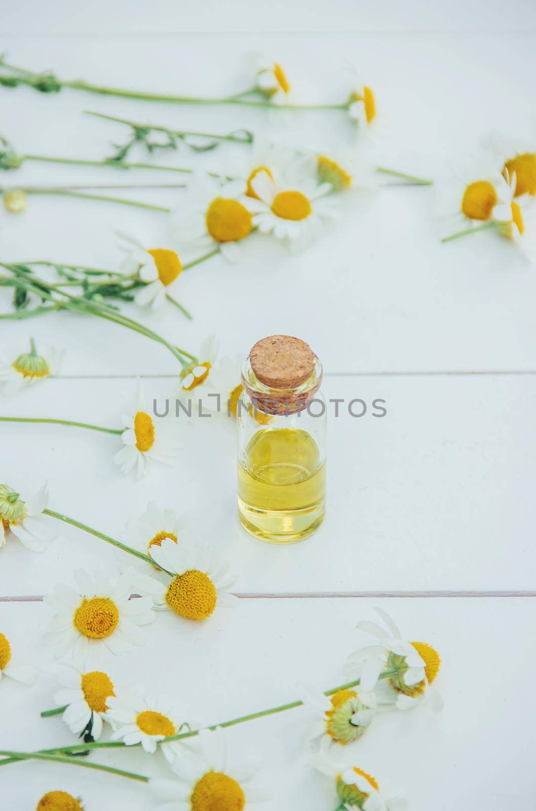 Chamomile extract in a small bottle. Selective focus.