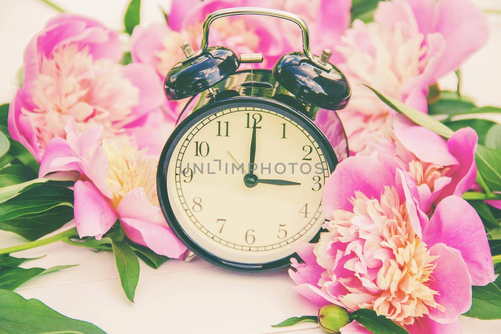Spring flowers and Alarm Clock. Change the time. nature.