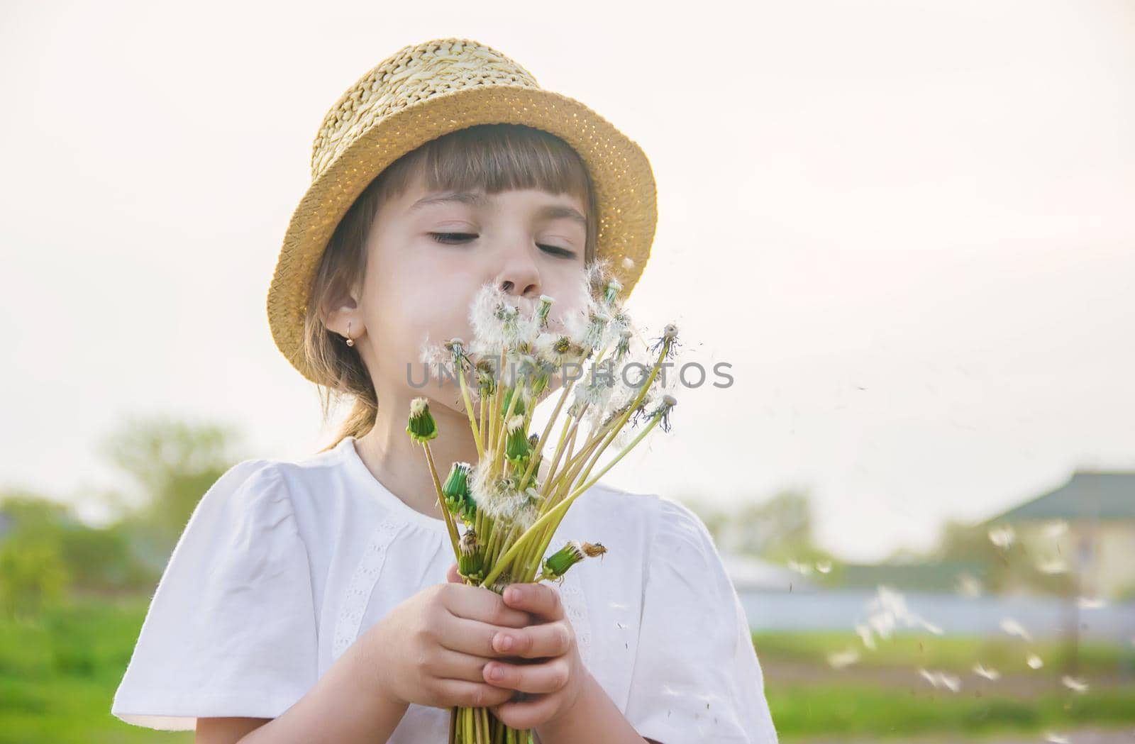 girl blowing dandelions in the air. selective focus. nature.