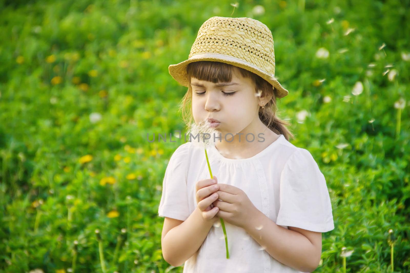 girl blowing dandelions in the air. selective focus. nature.