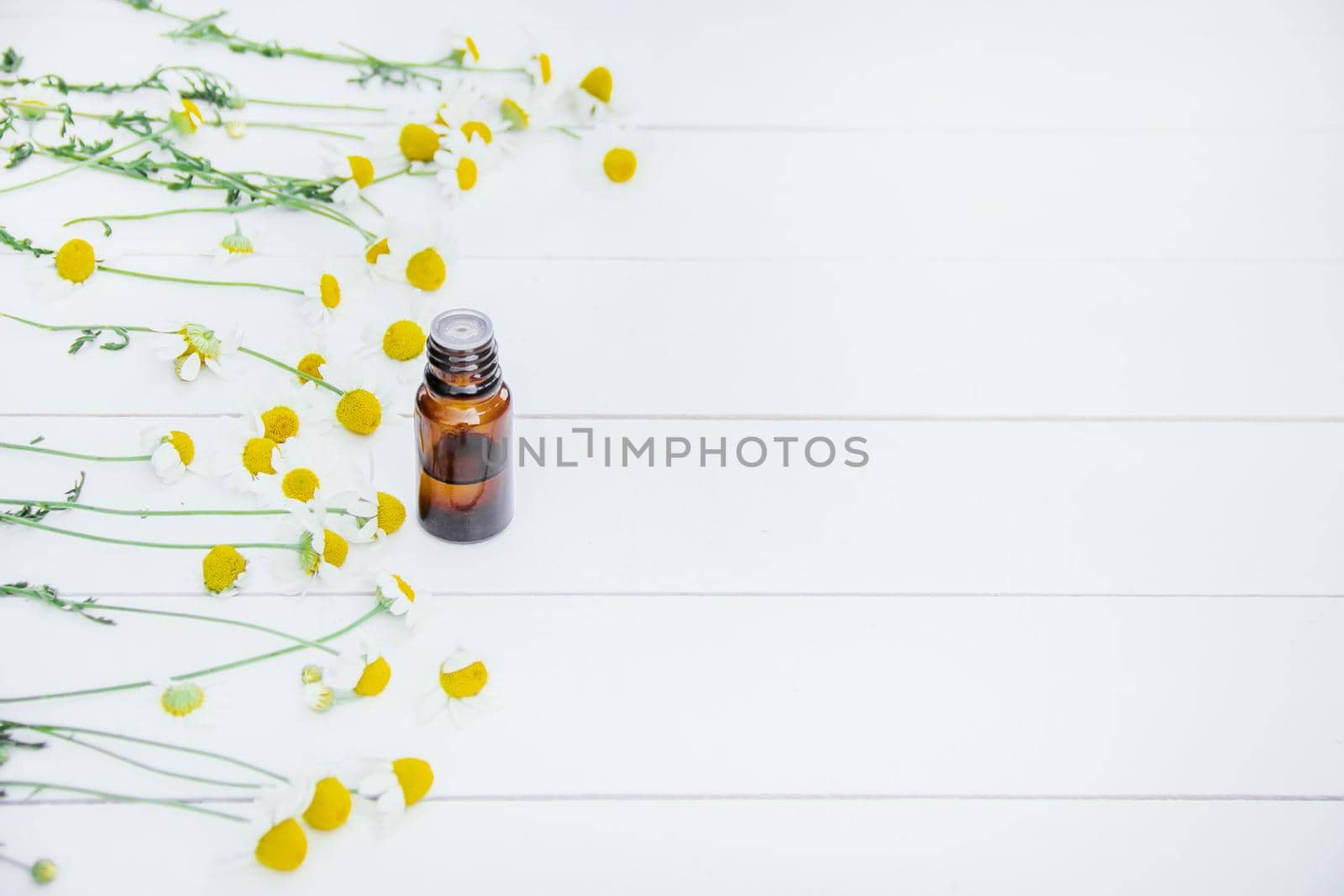 Chamomile extract in a small bottle. Selective focus nature.